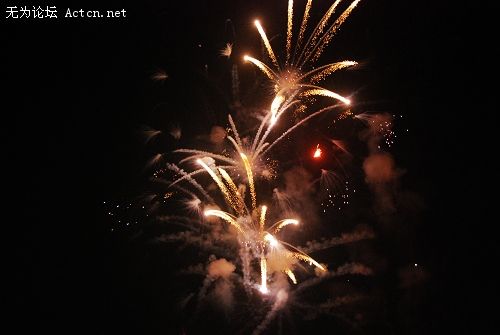 DSC_0104.jpg