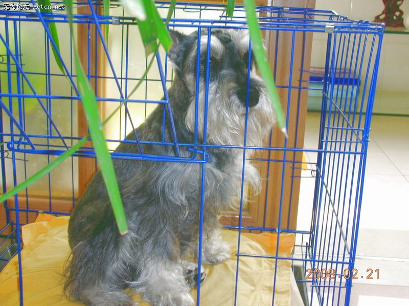 DSCN1782.JPG