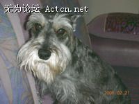 DSCN1787.JPG