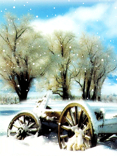 20070603_8c31bb973d974e06a4cf6LPQokF8WgRy.gif