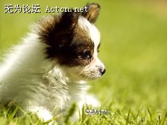xin_170704181016451216916.jpg