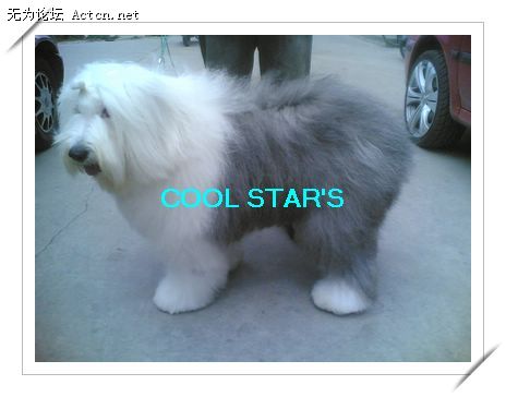 xin_1807041810168832352319.jpg
