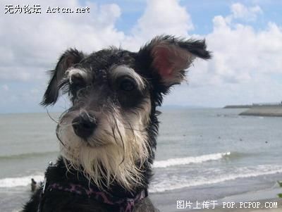 xin_170704181016902773117.jpg