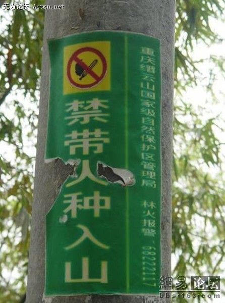 469x631_44936.jpg