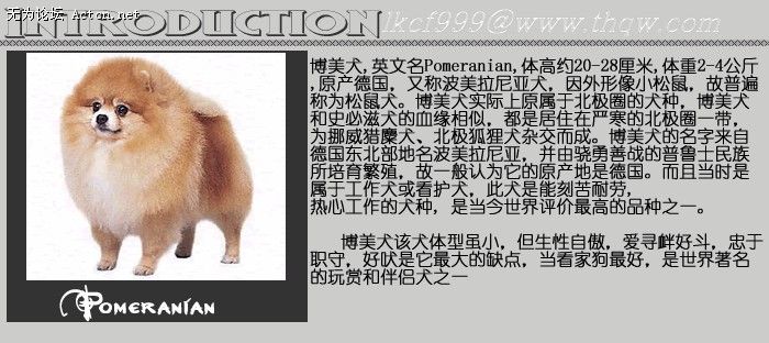 151444_1774604447_ijpjfpct.jpg
