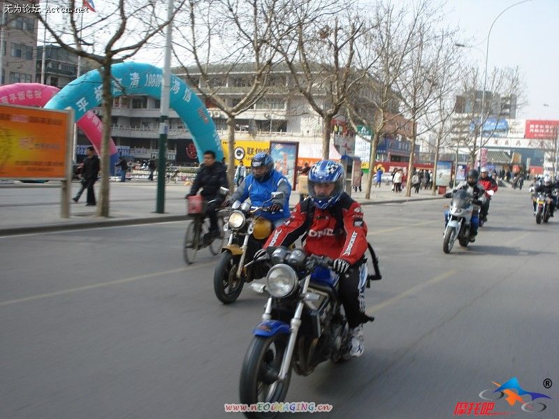 20080303_ad547bebc4e381764824nrLkZNzctkdN.jpg