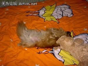 PICT4075.JPG