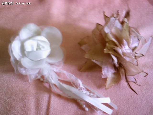 PIC00264.JPG