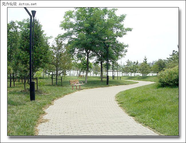 04.jpg