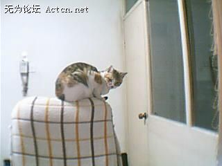 ͼƬ 005.jpg