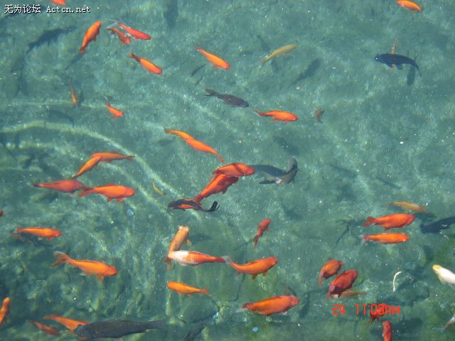 DSC00041.JPG