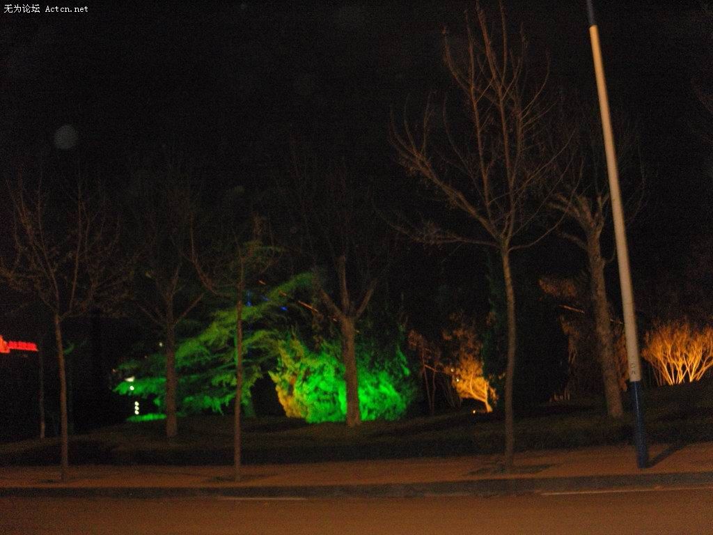 SNV10248.jpg