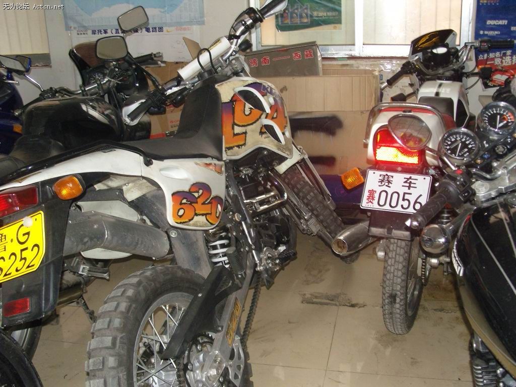 SNV10012.jpg