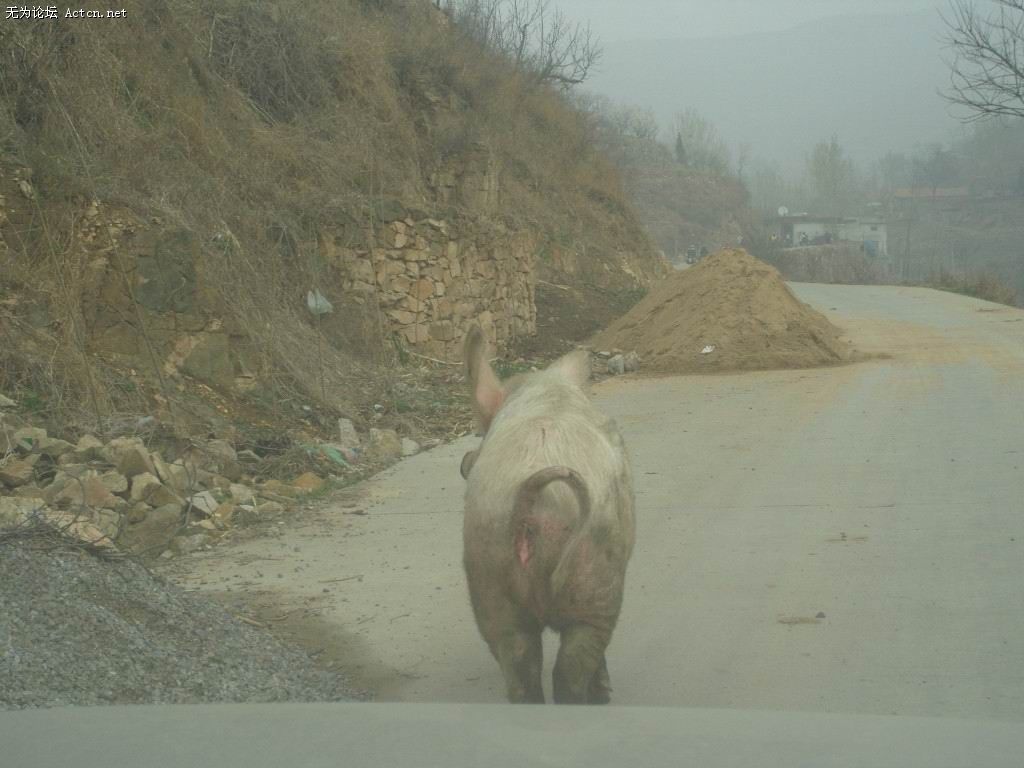 SNV10109.jpg