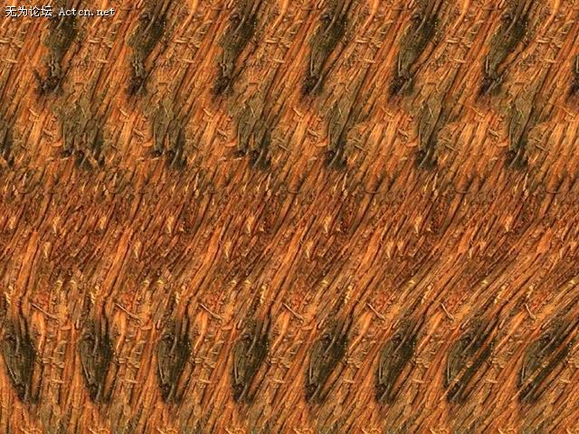 xinsrc_3507010509573781356812.jpg
