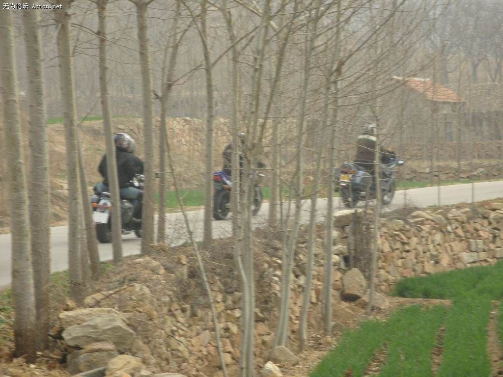 SNV10094.jpg