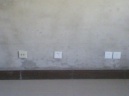 1858297796243817805.jpg