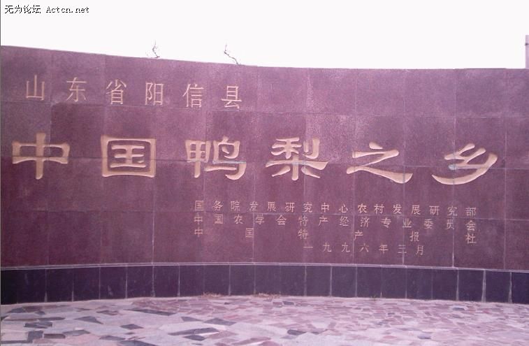 44.jpg