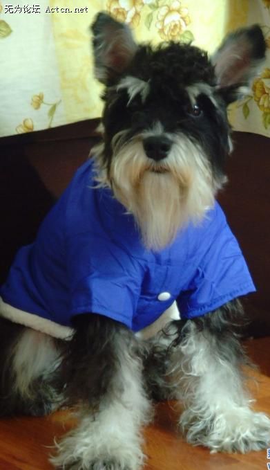 20071204_9627034013d84e39cdd2yq7786cpp1aQ.jpg.jpg
