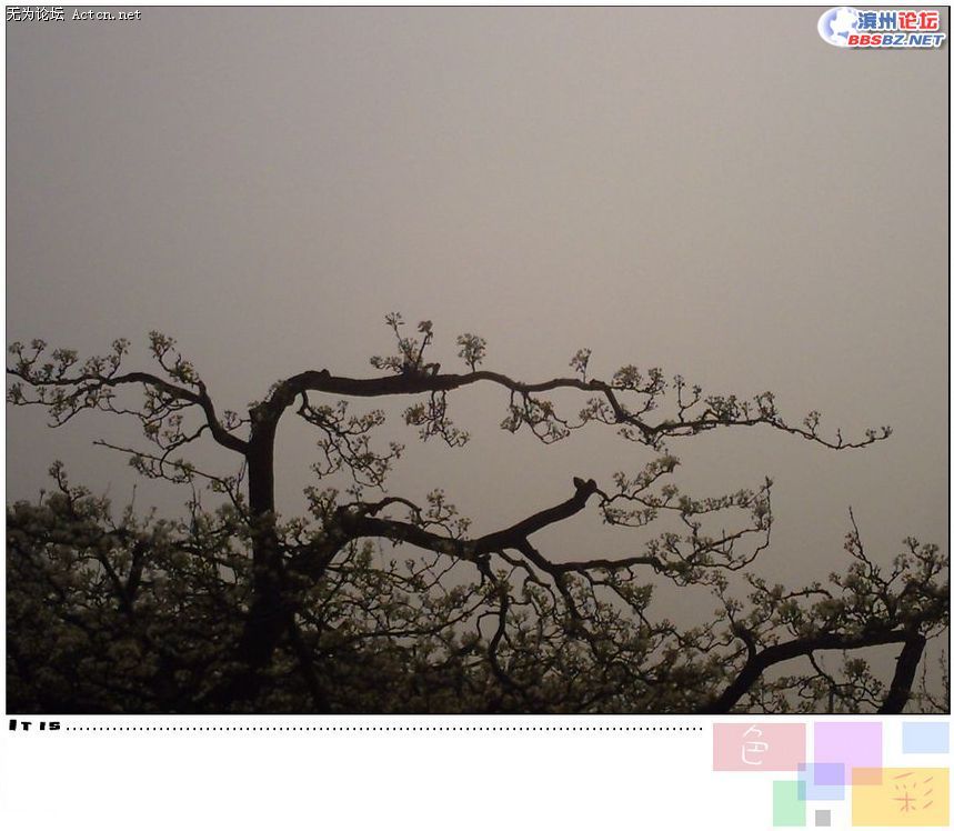 20080407_980fb81816de6bb206a9eqED6vILJw7K.jpg