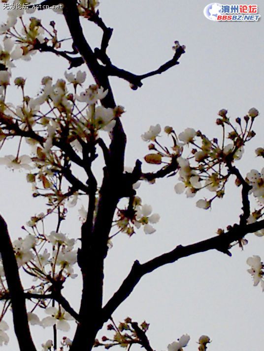 20080407_c17f71e10f7f83458729zJOgPaltkozX.jpg