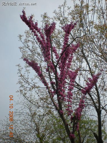 ƯĻ
