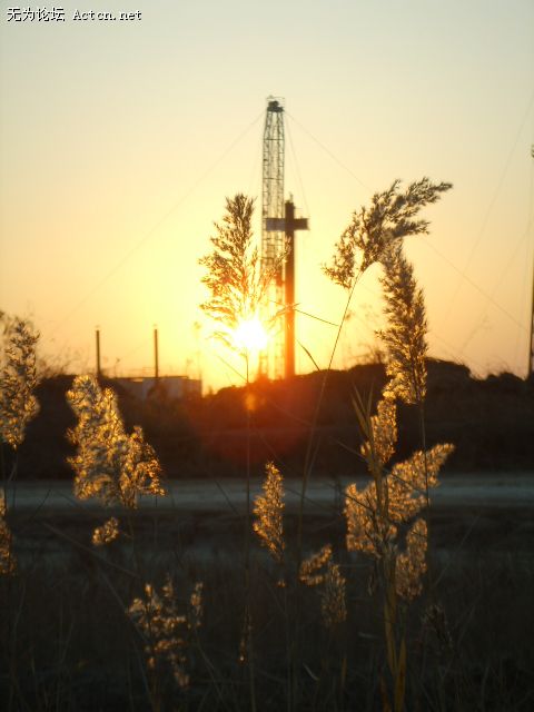 SSM14634.JPG