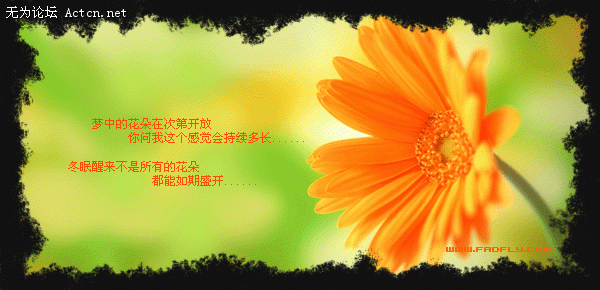 58237683449.gif