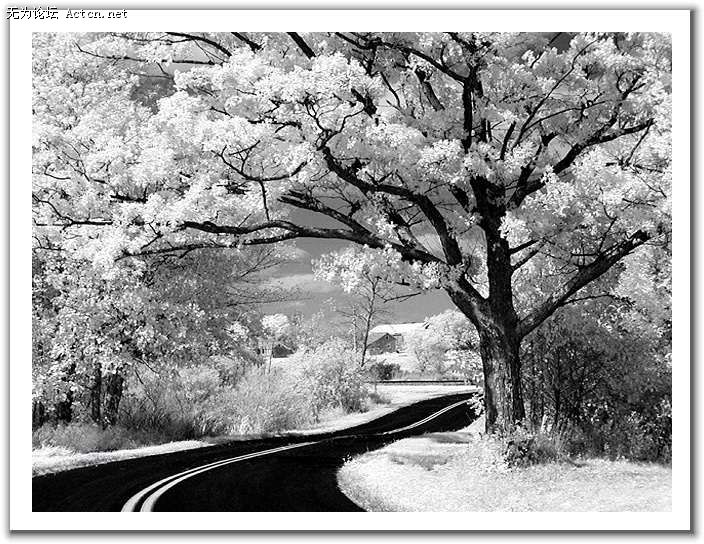 20080408_04afa22dfaf8bc3c104fzmSEd3wESQfH.jpg
