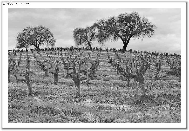 20080408_4af14b367741201e2236x3xeAeDI4a05.jpg