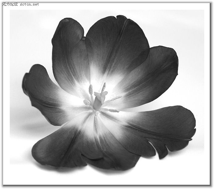 20080408_321f12da7008dce02aa1gRuh6TzS929V.jpg