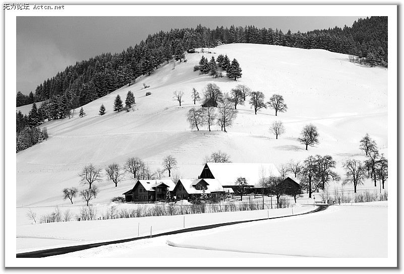20080408_2a662dec76e66ce0785foQNPxinTrPBu.jpg