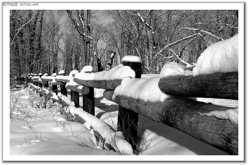 20080408_54083fe53069f9cdffcerSnTOKr2Sua7.jpg