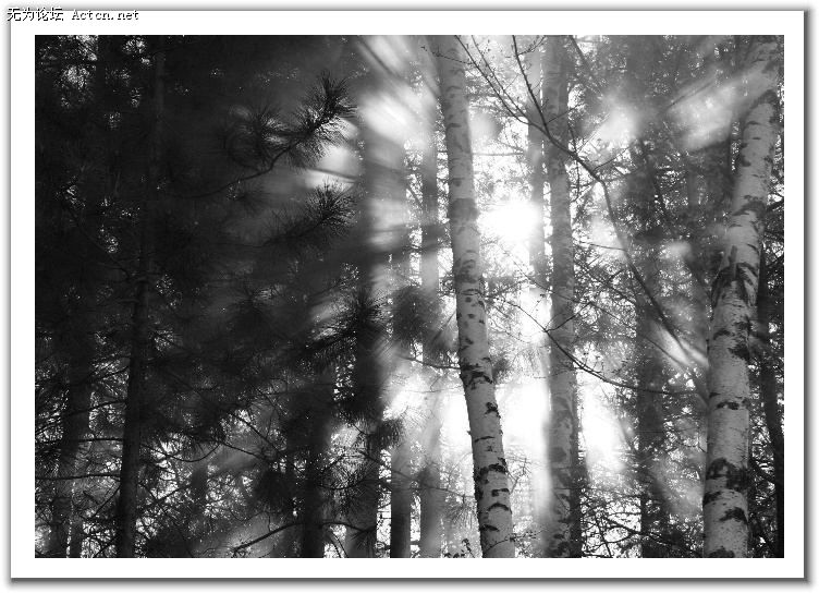 20080408_a31fbf12f76962d0bf22OhczZZGVk6Bl.jpg