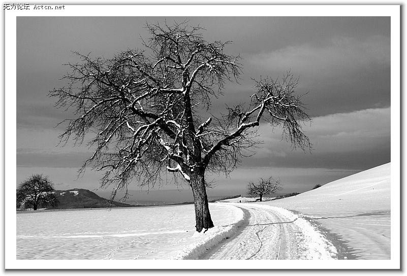 20080408_a0e0dec8b816e23b0825A39A0AZ3JY5y.jpg