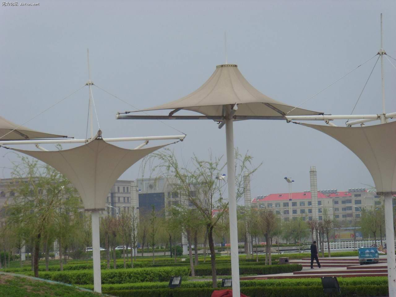 SI850362.jpg