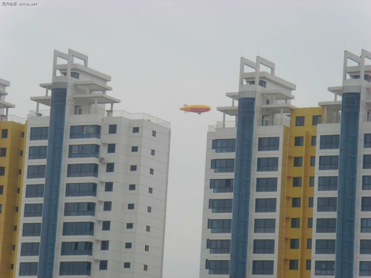 SI850350.jpg