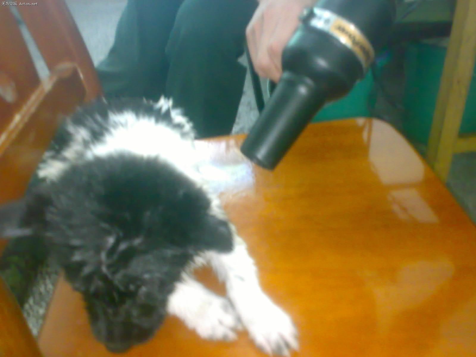 20080421011-001.jpg