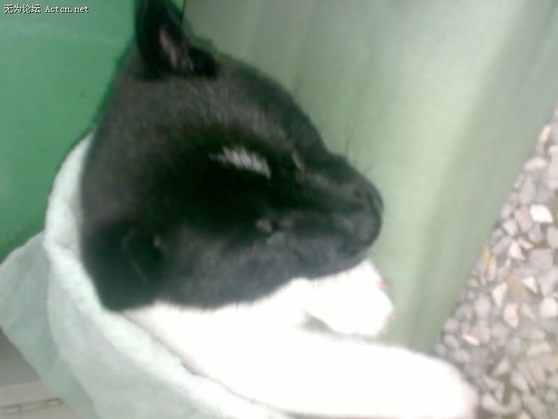 20080417010-001.jpg