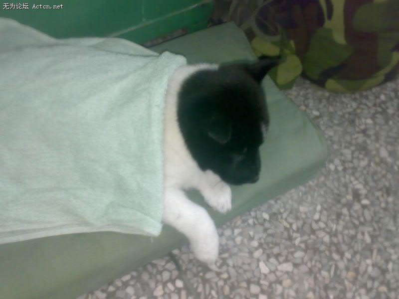 20080417009-001.jpg