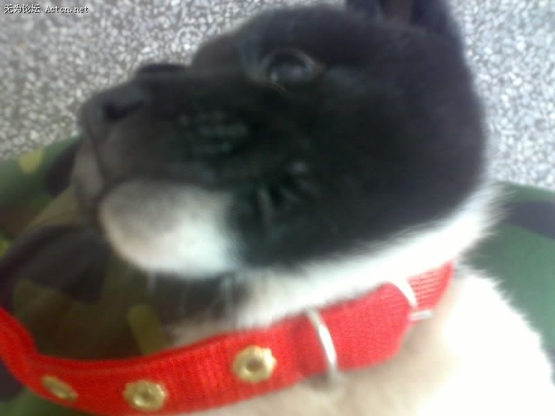 20070417007-001.jpg