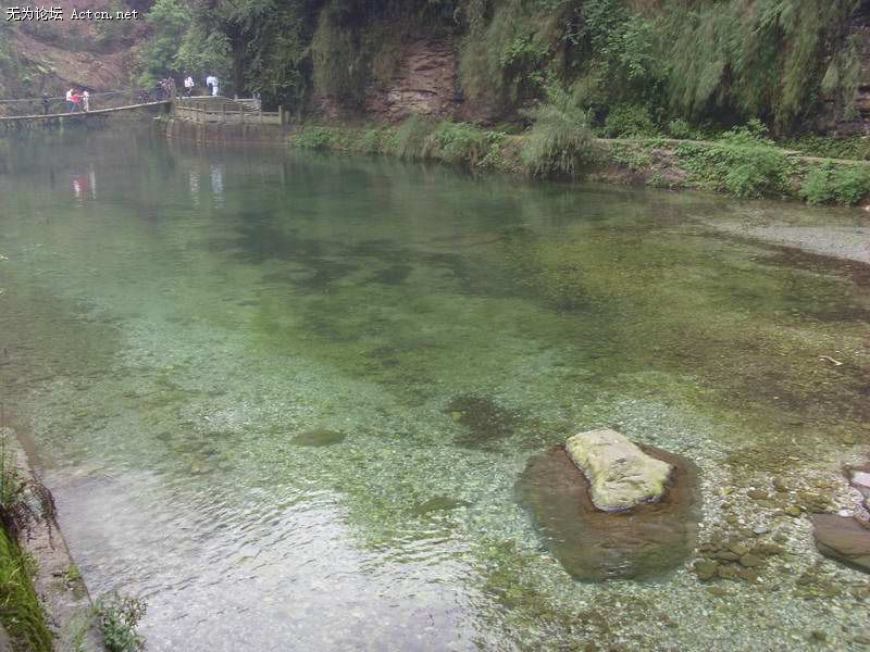 SI850619.JPG