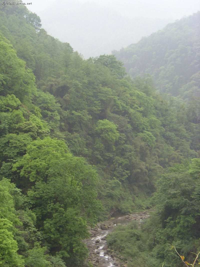 SI850652.JPG