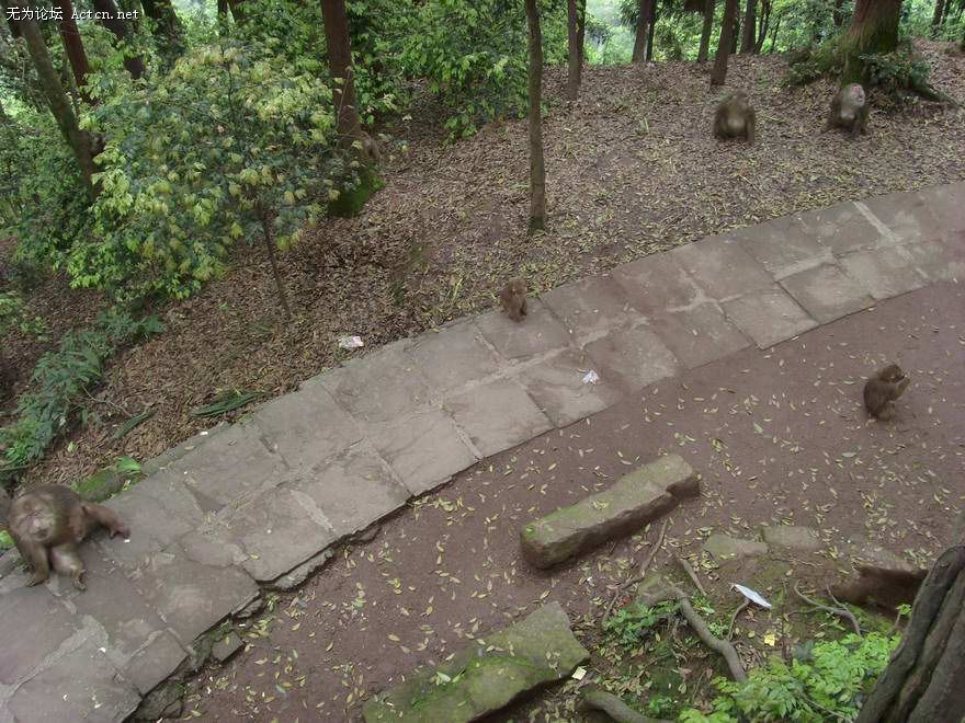 SI850544.JPG