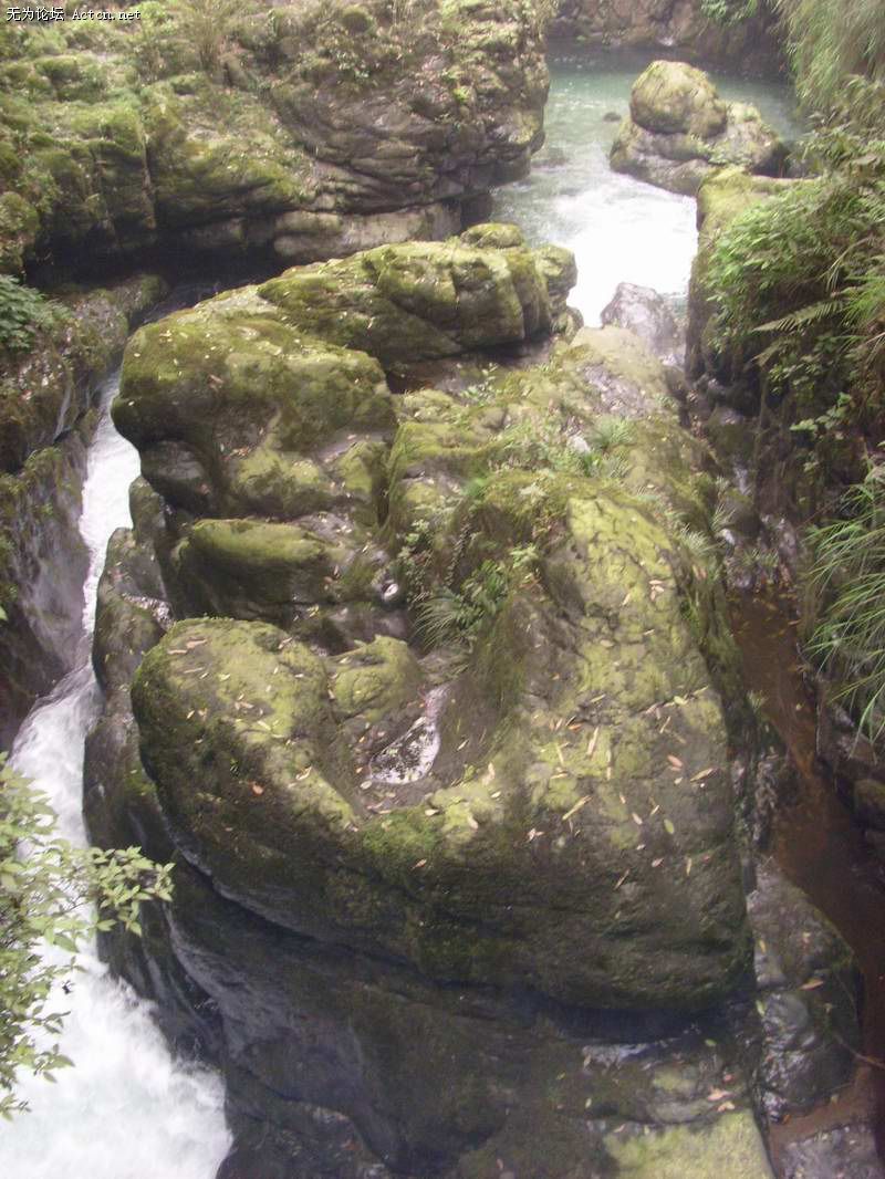 SI850596.JPG