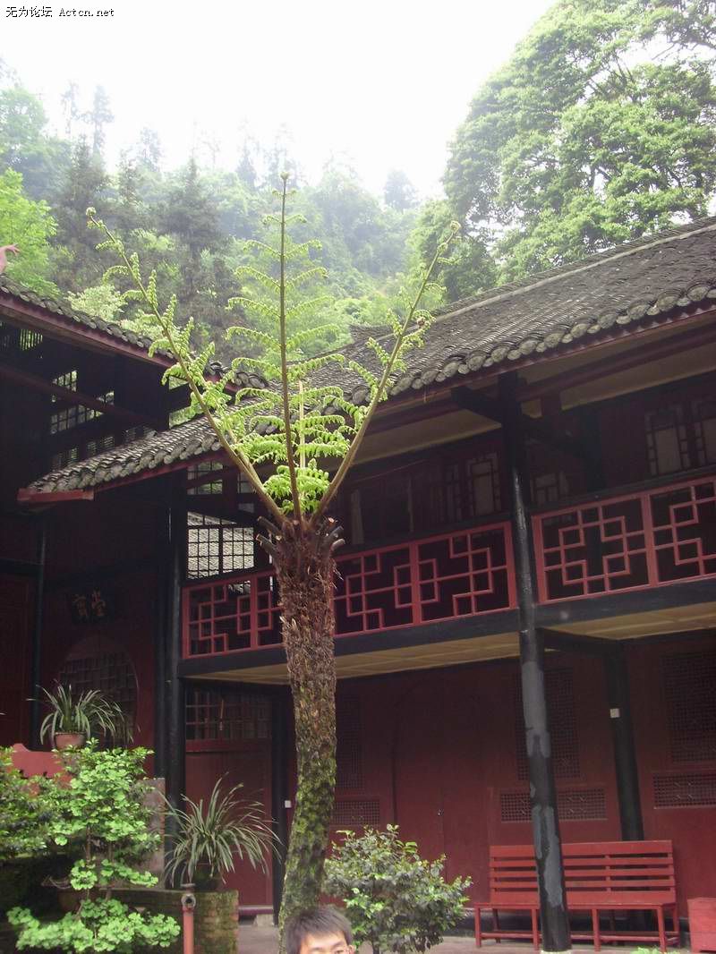 SI850571.JPG