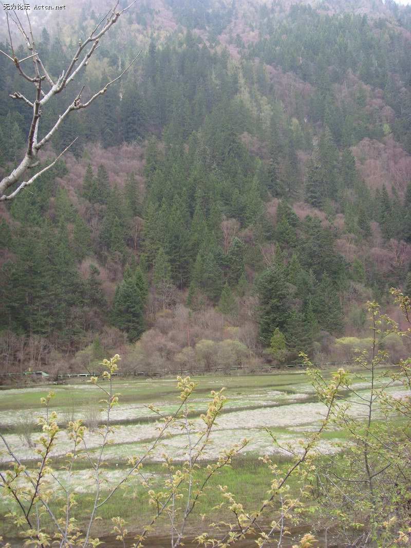 SI850751.JPG