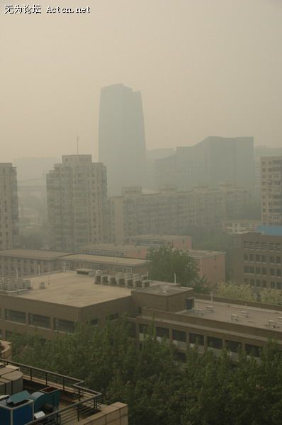 DSC_0009_СС.JPG