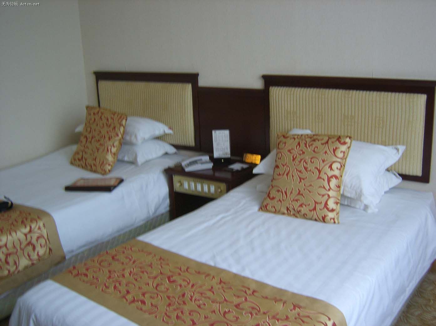 SA500074.JPG