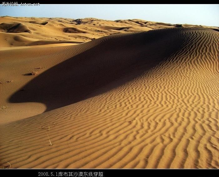 20080504_a900f03afd7b74bacd2d6XNlyideipCy.jpg
